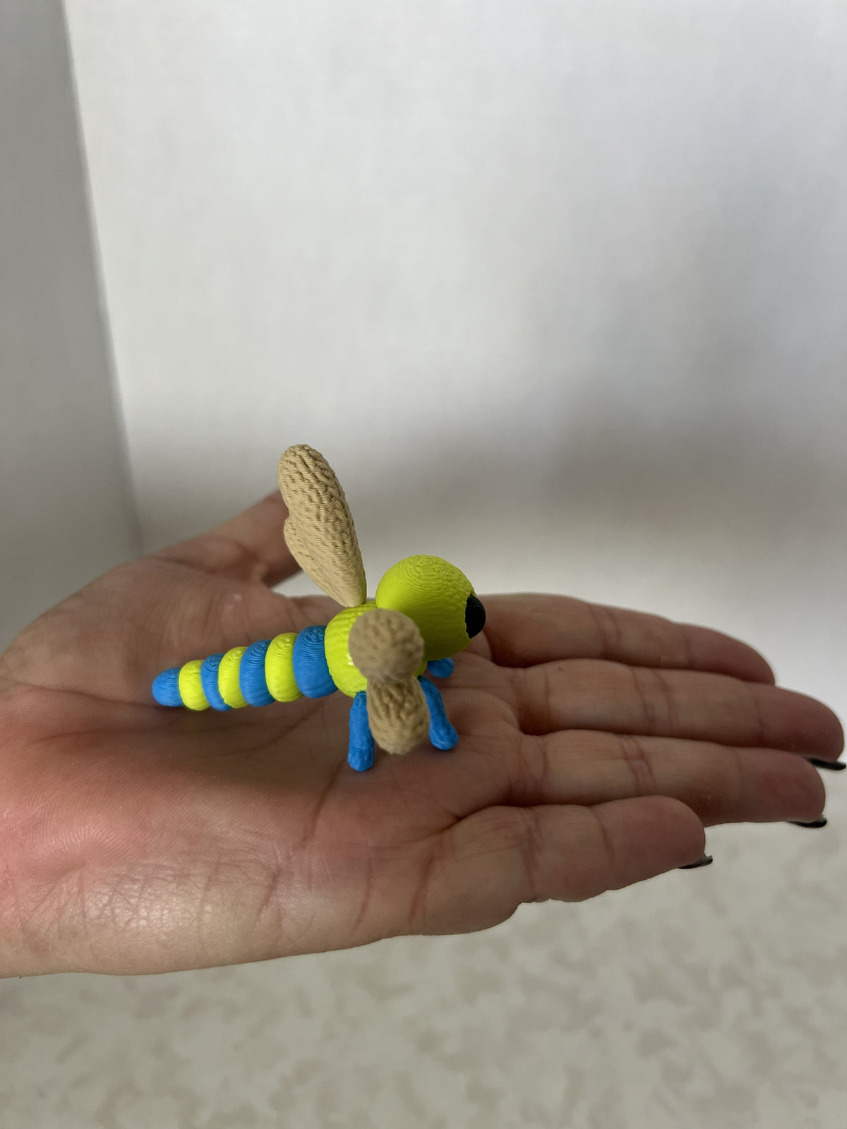 Knitted Dragonfly In Color
