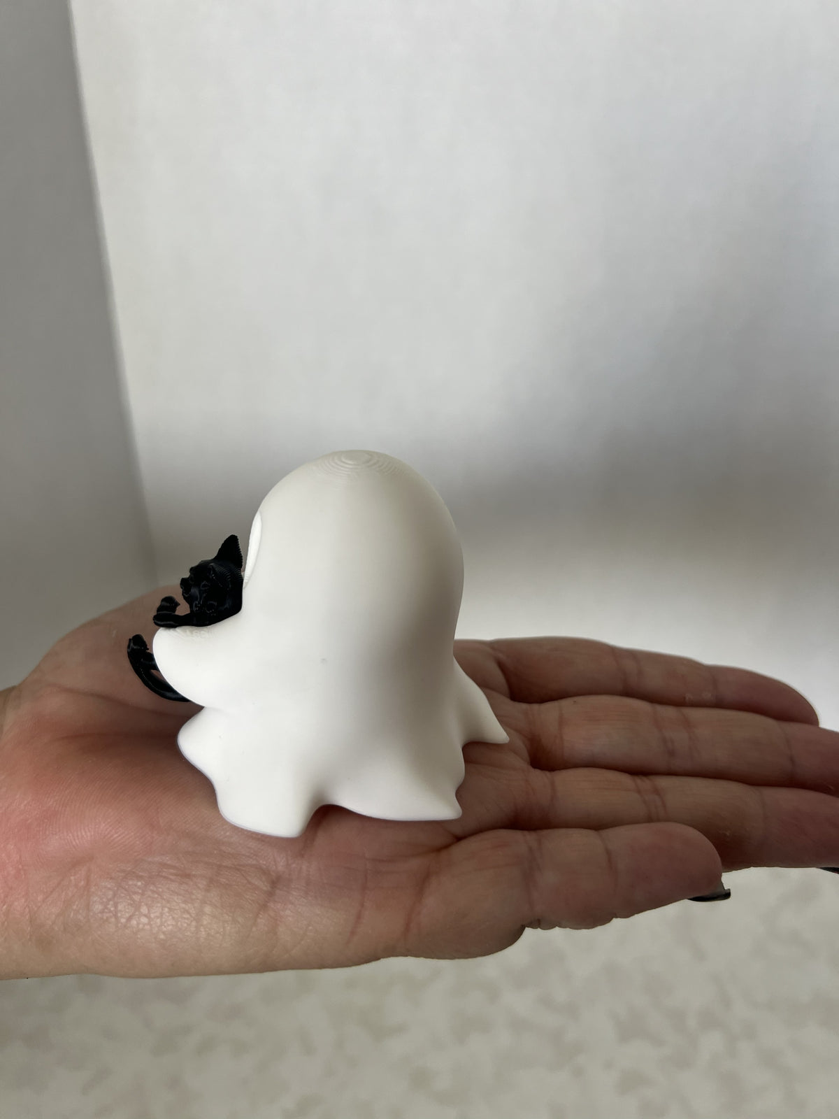 Ghost With Cat