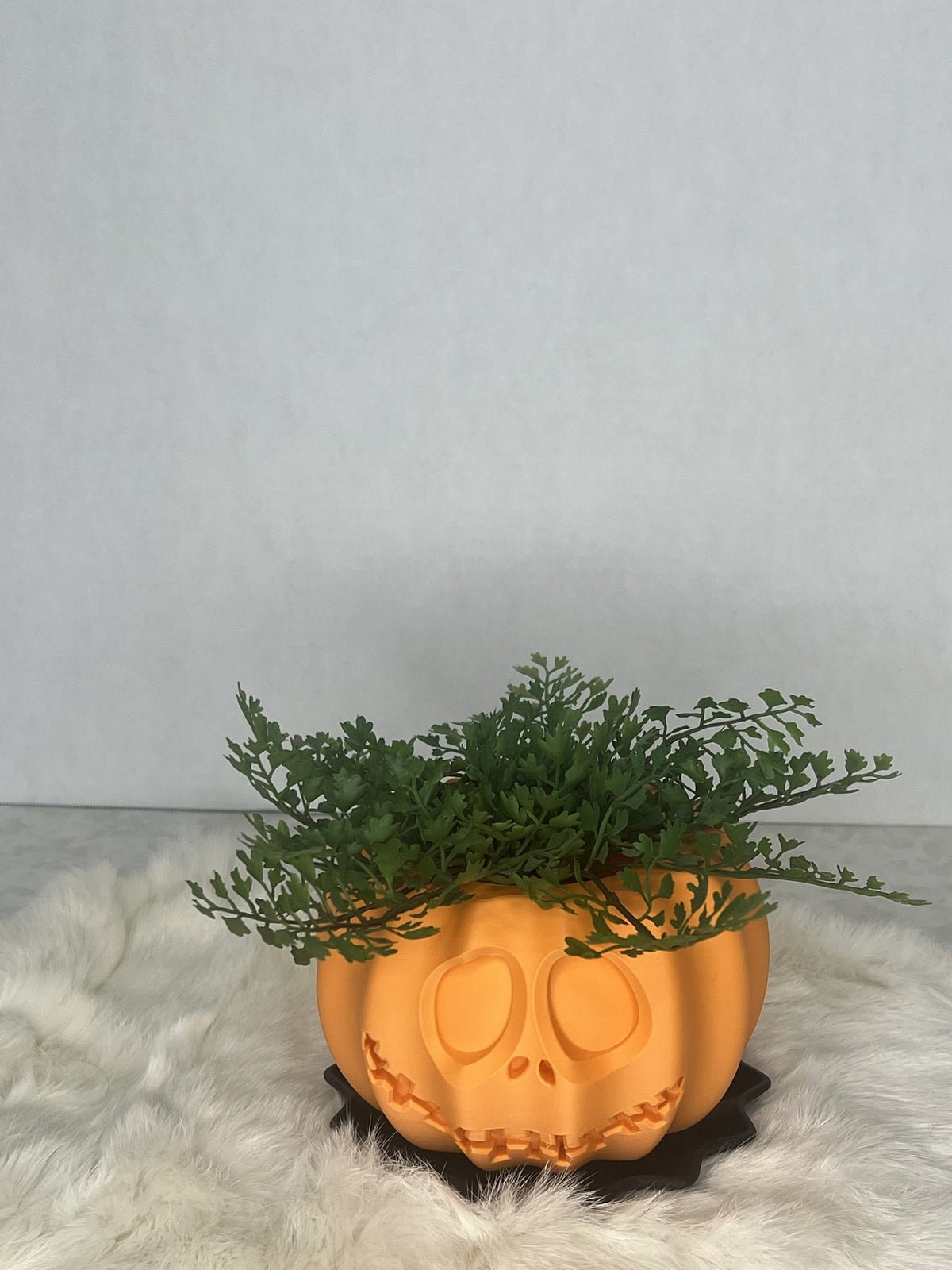 Pumpkin Planter