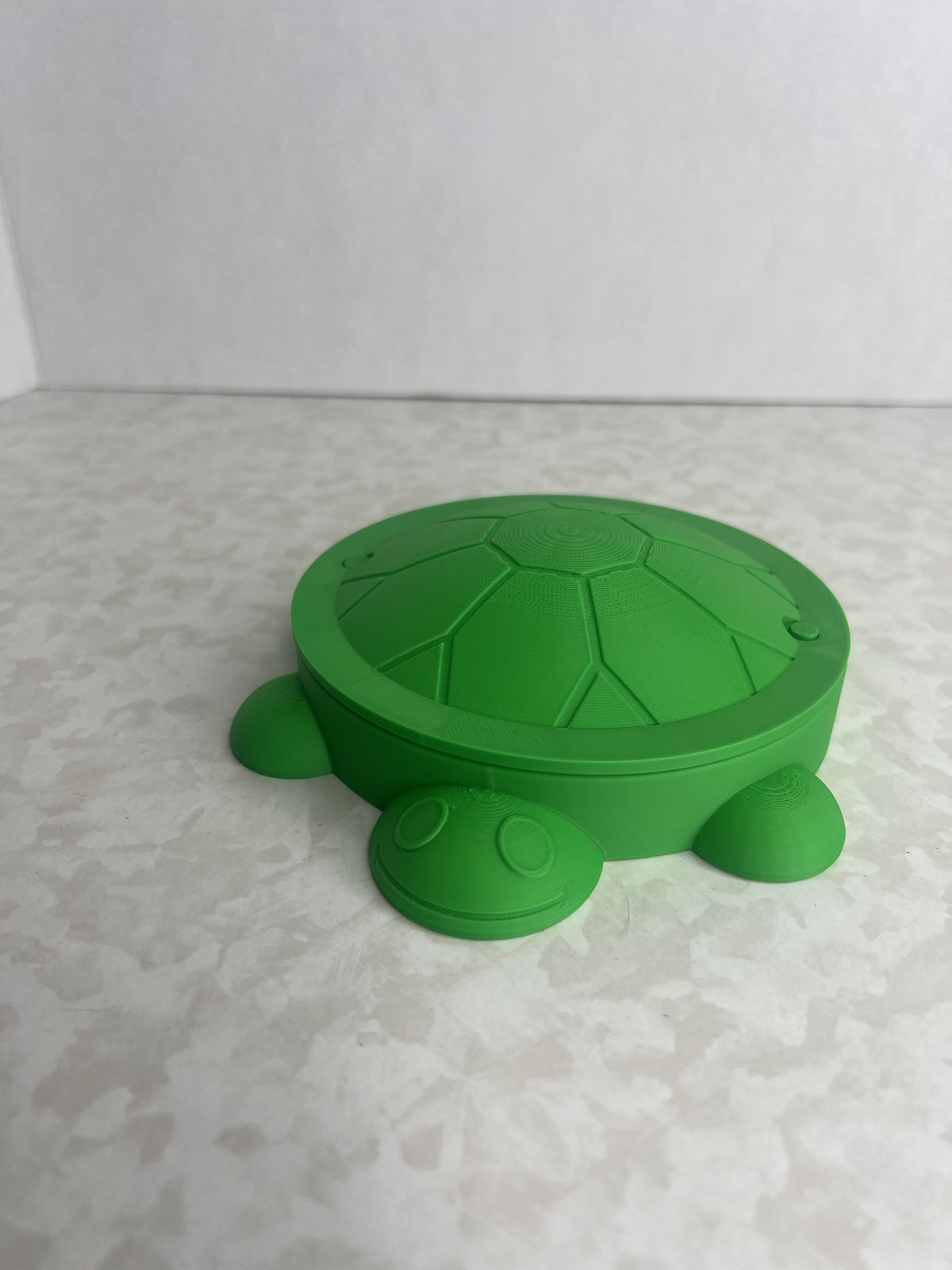 Mini Turtle Zen Garden